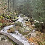 El Castano