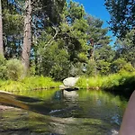 El Castano *