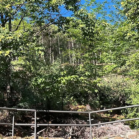 El Castano Apartment *