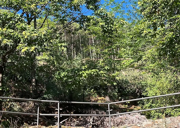 El Castano Апартаменты *